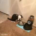 Paxton Drinking Water