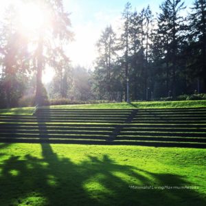 Greenery in Portland
