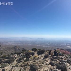 View From Turtlehead Peak Summit