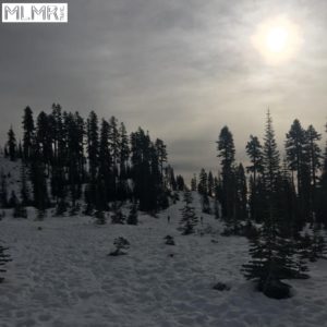 View of snow from Bunny Flat trail head