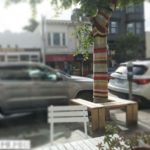 Tree in San Fransisco