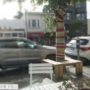 Tree in San Fransisco