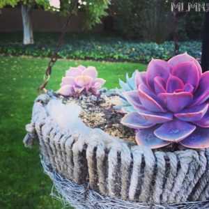 Decorations at the Hyatt of Monterey