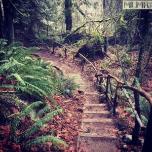 Walkway at Treehouse Point