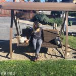 Kelsey swinging at Ocean Echo