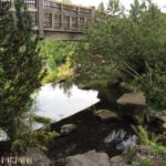 Our wedding site in the park