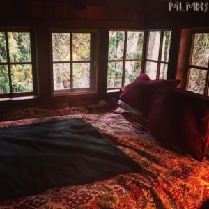 Treehouse with a perfect view