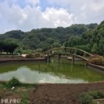 Park at Doi Inthanon