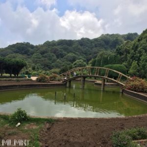 Park at Doi Inthanon