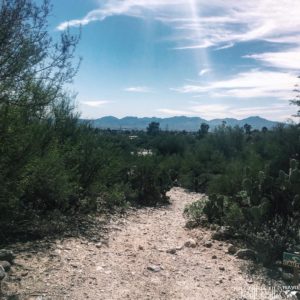 Mountains in Tucson, Arizona