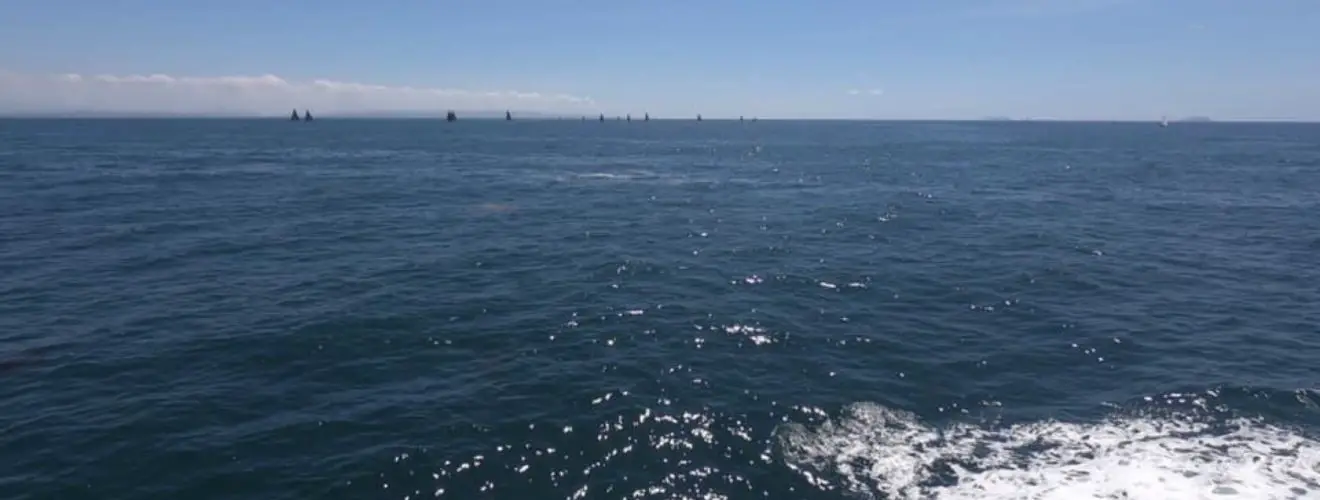 San Diego Travel Guide