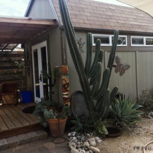 Tiny Home Shed