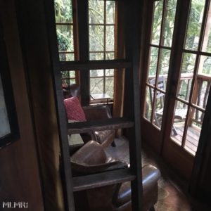 Windows at Treehouse Point