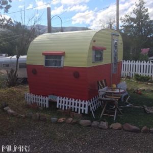 Tiny Vintage Trailer at Shady Dell