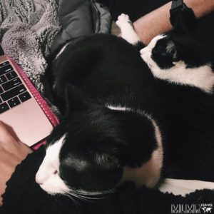 The MLMR Travel Family