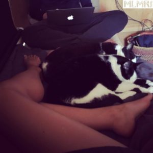 The MLMR Travel Family