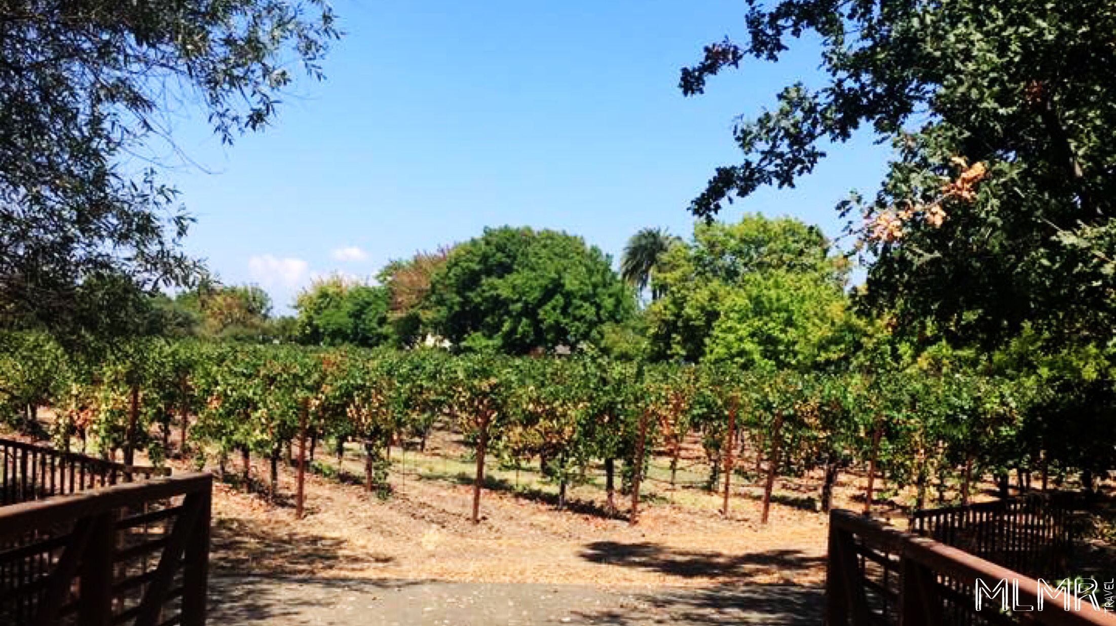 Napa Travel Guide