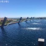 Artesa Estate Vineyard and Winery fountain