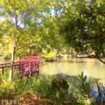 Chateau Montelena Winery pond