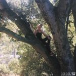 Climbing trees in San Jose
