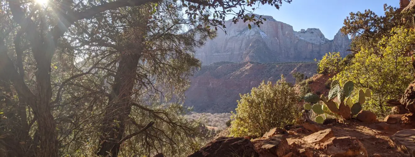 Visting Zion National Park