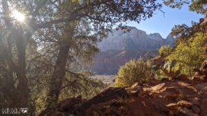 Visting Zion National Park
