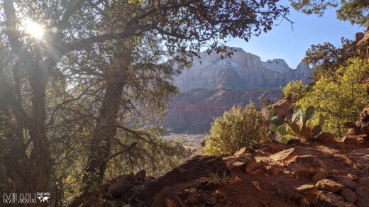 Visting Zion National Park