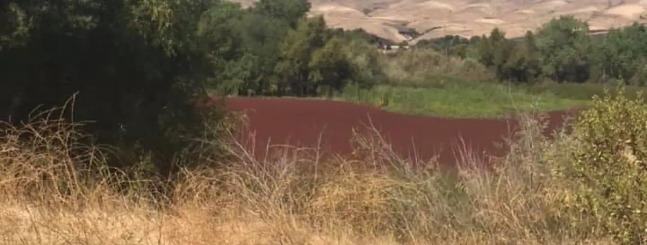 Parkway Lakes RV Park in Morgan Hill