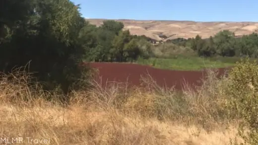 Parkway Lakes RV Park in Morgan Hill