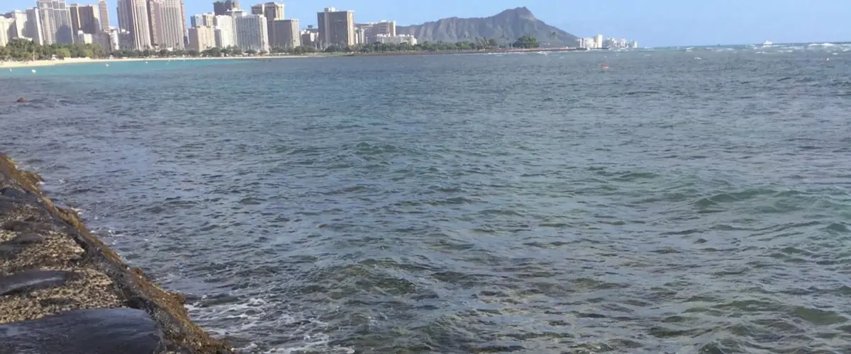 Our Honolulu Marathon and Vacation