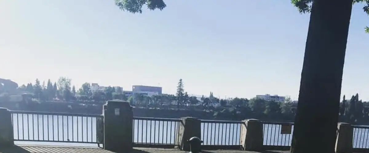 We're Moving to Portland