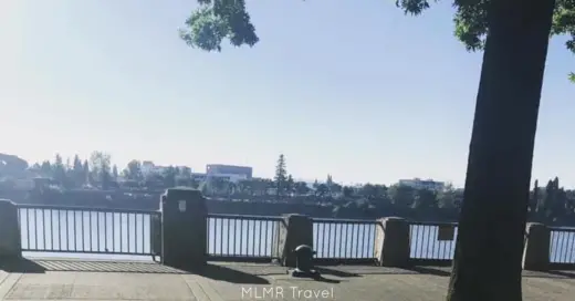 We're Moving to Portland