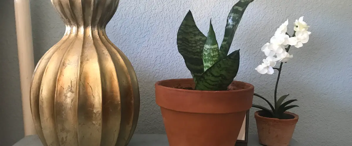 Meaning of Simplicity