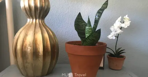 Meaning of Simplicity