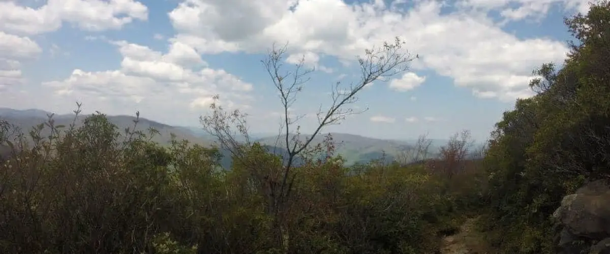 Best Hikes Near Gatlinburg