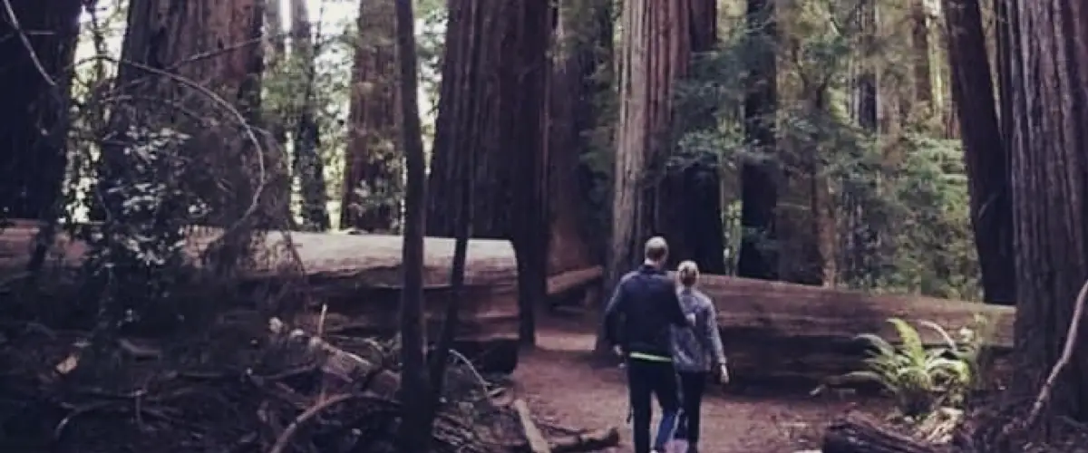 Benefits of Having a Travel Partner