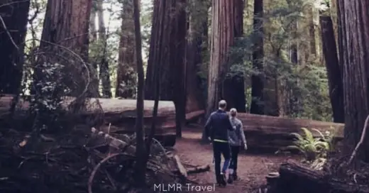 Benefits of Having a Travel Partner