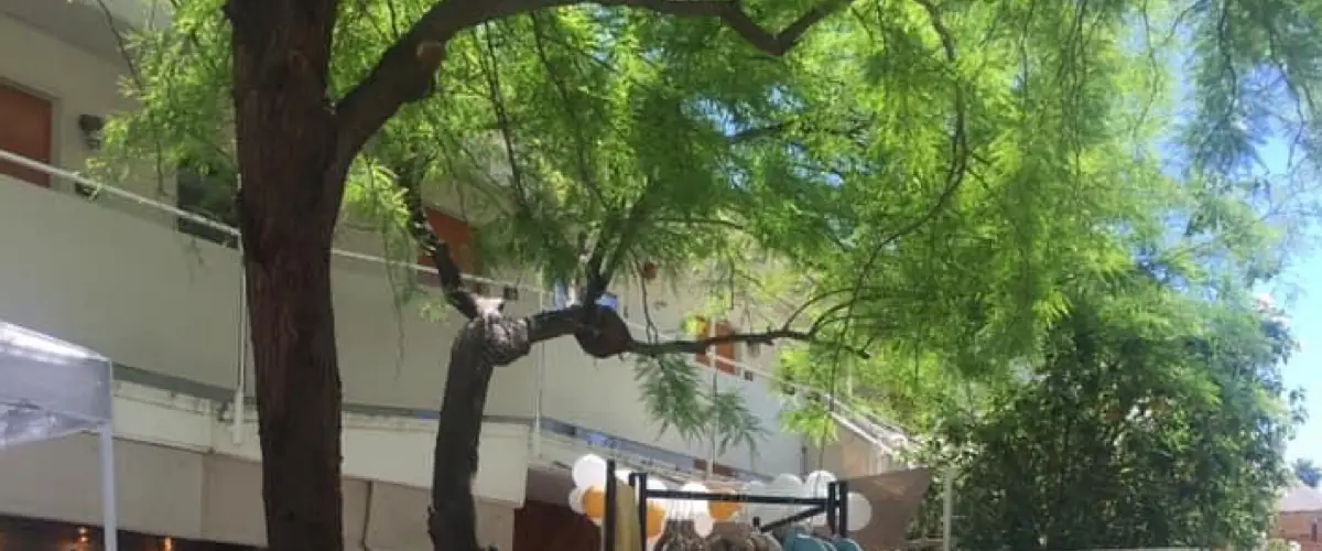 When Should Minimalists Sell, Donate, or Throw Away