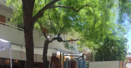 When Should Minimalists Sell, Donate, or Throw Away