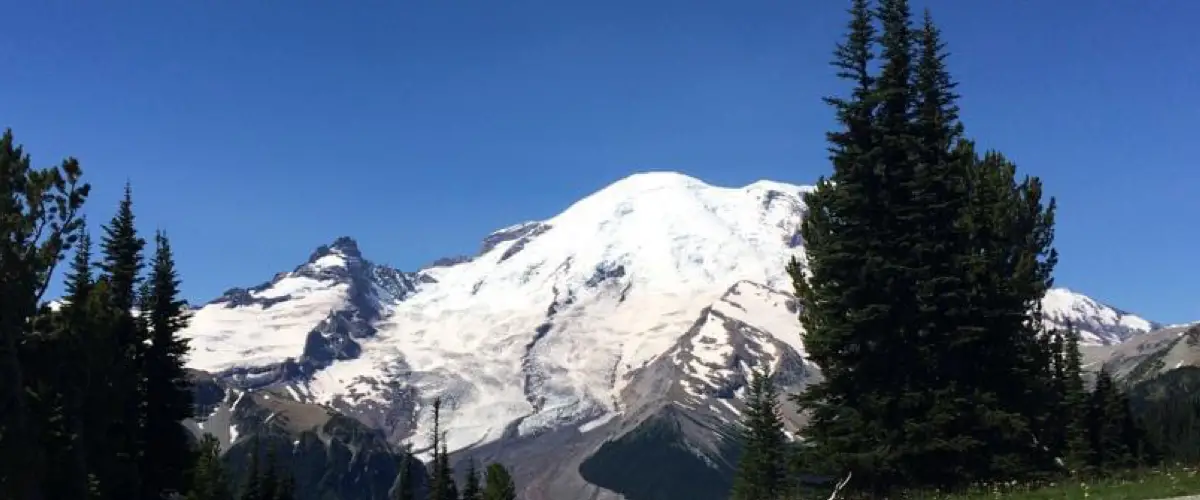 The Best Mt. Rainier Hiking Trails