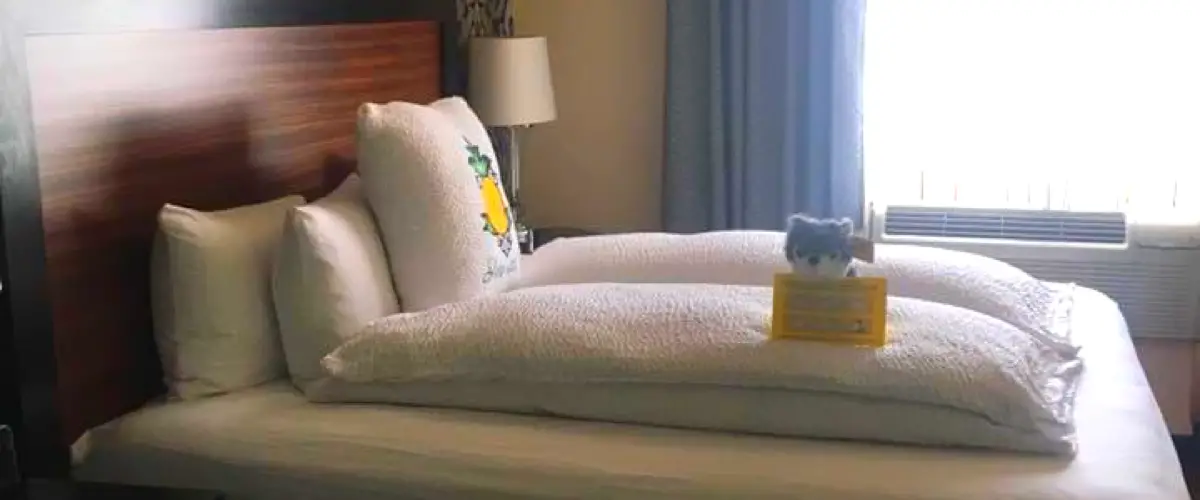 10 Reasons Staypineapple is the Perfect Modern Hotel Chain