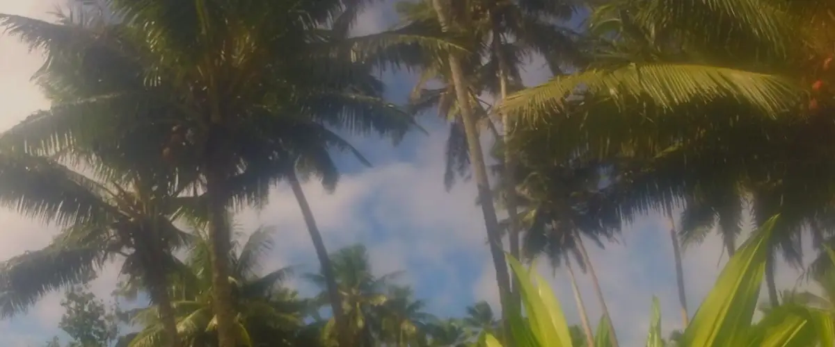 7 Great Tips For Visiting Australia Cheaply