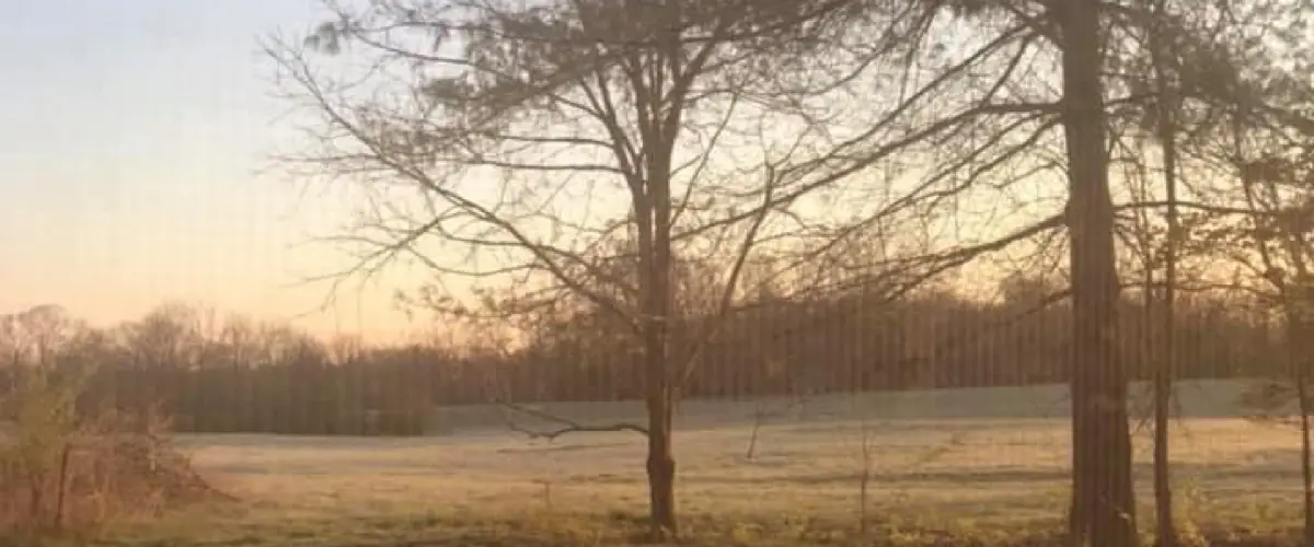 Kountry Resort Campground