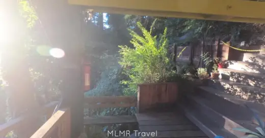 Our Santa Cruz "Treehouse" Getaway