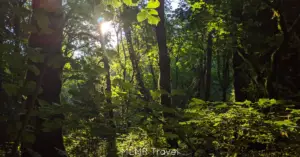 The Perfect Pacific Northwest Getaway