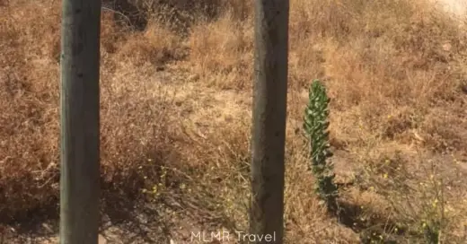 Support Africa Through Linc Worldwide