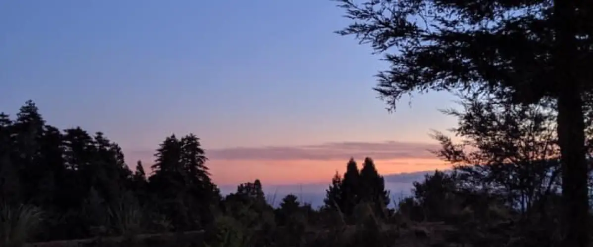 How to Live a Zero Waste Life