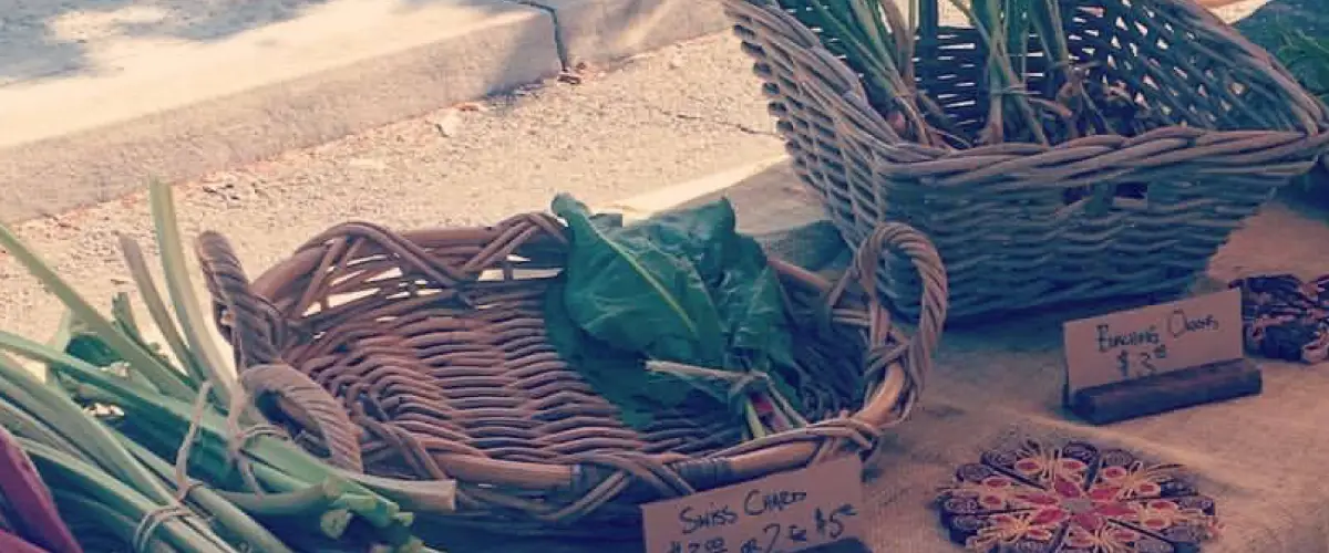 A Simple Guide to Buying in Bulk