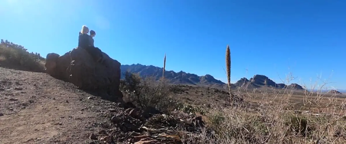 Save Money Traveling with a Buddy