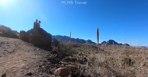 Save Money Traveling with a Buddy